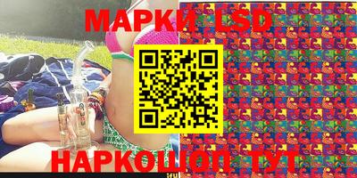 шишки Обь