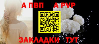 шишки Обь