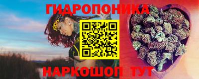 шишки Обь