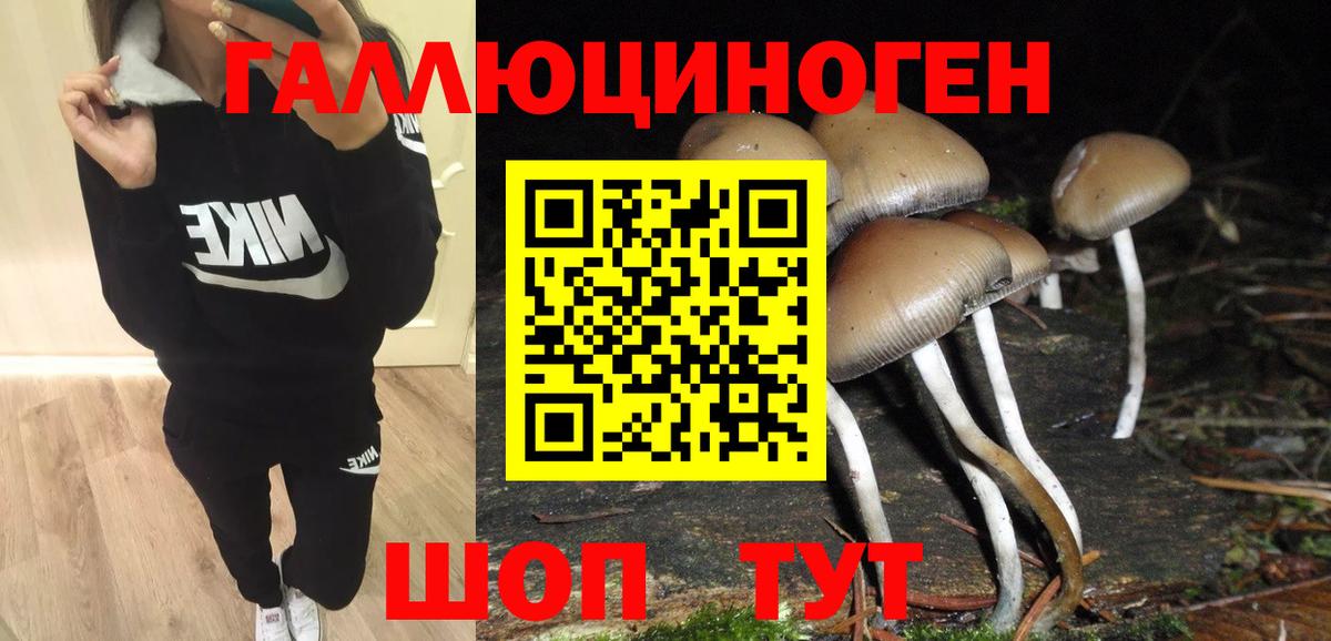 Псилоцибиновые грибы мицелий Алушта